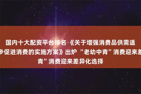 国内十大配资平台排名 《关于增强消费品供需适配性进一步促进消费的实施方案》出炉 “老幼中青”消费迎来差异化选择